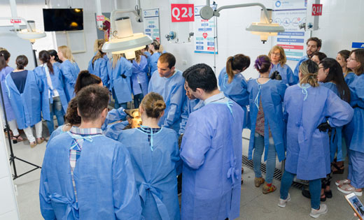 Curso internacional de anatom&iacute;a aplicada en cad&aacute;veres enfocado en est&eacute;tica