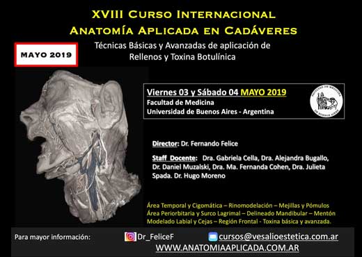 Curso Internacional Anatomía Aplicada en Cadáveres: técnicas básicas y avanzadas de aplicación de rellenos faciales y toxina botulínica Curso Internacional Anatomía Aplicada en Cadáveres: técnicas básicas y avanzadas de aplicación de rellenos faciales y toxina botulínica