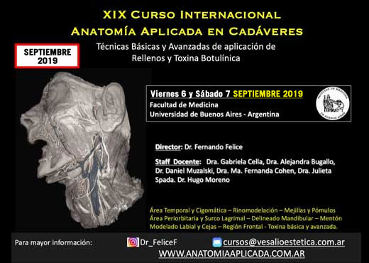 Curso Internacional Anatom&iacute;a Aplicada en Cad&aacute;veres: t&eacute;cnicas b&aacute;sicas y avanzadas de aplicaci&oacute;n de rellenos faciales y toxina botul&iacute;nica