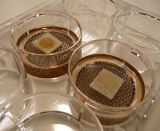 pigmentaci�n de la piel